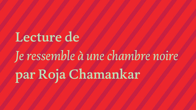 Roja Chamankar, "Je ressemble à une chambre noire"